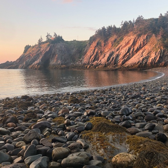 Meet your Posher, Rae - Picture 1 of 1